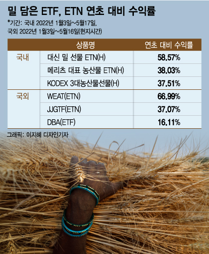 밀 가격 폭등에 58% 수익…개미들 "나도 밀에 베팅해볼까"