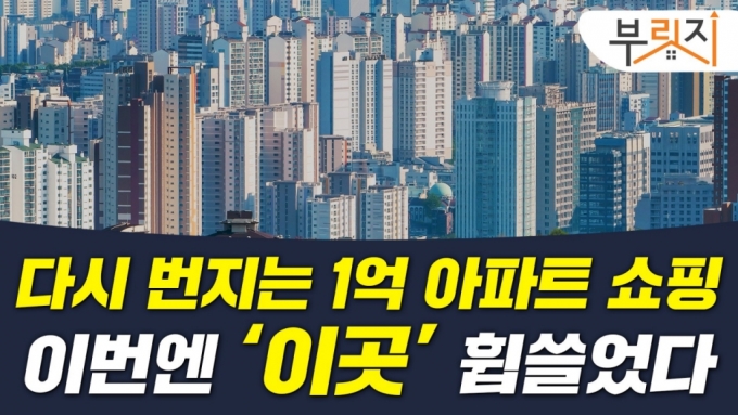 "나홀로 집값 오른 동네"…갭투자자들 1억 아파트 '싹쓸이' [부릿지]