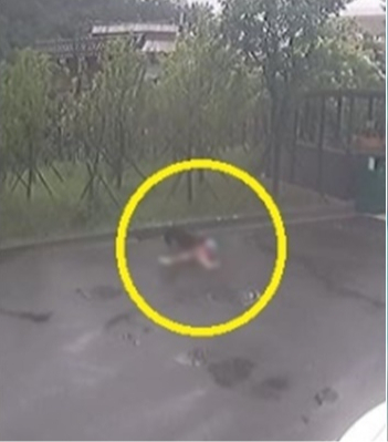 [영상]아파트단지서 8살 아이 공격한 개 안락사 결정…견주 입건