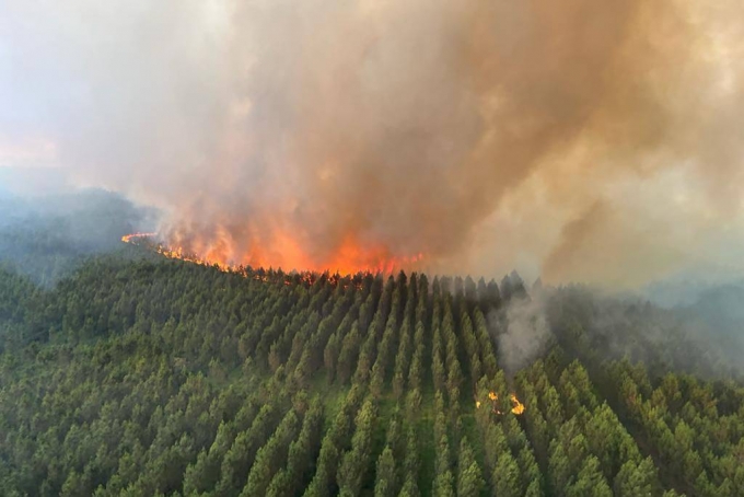 14일(현지시간) 프랑스 남서부 보르도의 랑디라스 인근에서 발생한 산불로 수목이 타고 있다. /사진=AP=뉴시스