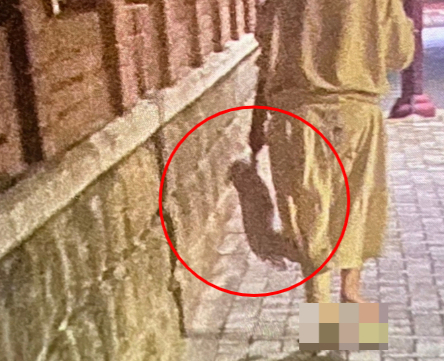 부산 아파트 단지 주민이 찍은 '강아지 학대 제보 사진'. 견주가 작은 강아지의 앞발 하나를 손에 쥔 채 걸어가고 있다./사진=학사모(학대견을 돕는 사람들의 모임, 인스타그램@hac_sa_mo) 제공