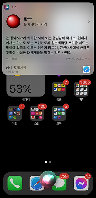 애플 음성비서 시리에게 한국에 대해 묻자 나온 답변 화면 /사진=반크 페이스북