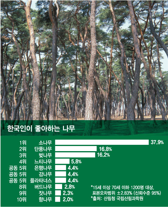 [더차트]한국인 '최애 나무' 단풍도 벚나무도 아니었다…1위는
