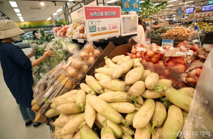 [사진]추석 지나도 채소 가격 고공행진