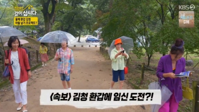 /사진=KBS2 '박원숙의 같이 삽시다 시즌3' 방송화면 캡처