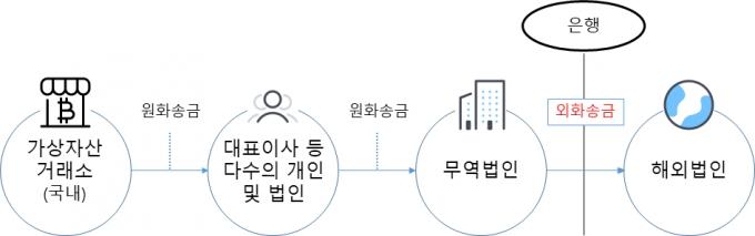 주요 이상 외화송금 거래 구조도/자료=금융감독원