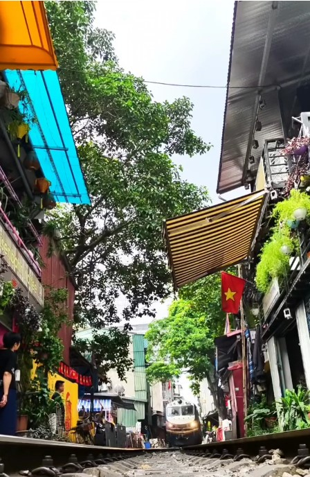베트남 하노이 호안끼엠 기찻길 카페들의 전경/사진= 레일웨이카페 인스타그램