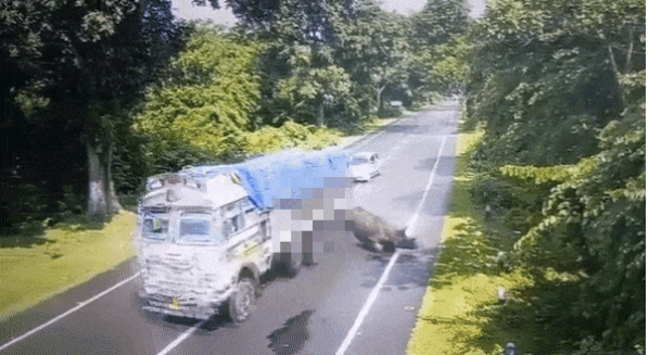 [더영상] 달리던 트럭 들이받은 코뿔소…테헤란 뒤덮은 '핏빛' 분수대