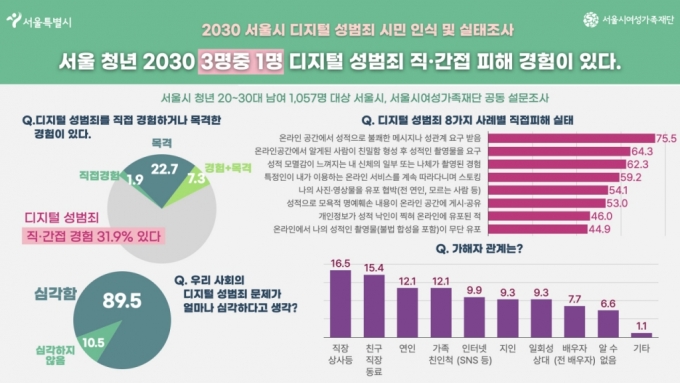 2030 서울시 디지털 성범죄 시민 인식 및 실태조사 /사진제공=서울시