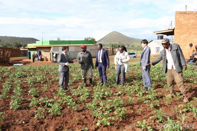 김기종(왼쪽 1번째) KOPIA 케냐센터 소장이 케냐 메루주 관계자들과 함께 감자 시범마을에 들러 현지 농업인으로부터 재배 상태 등을 확인하고 있다. /사진=정혁수