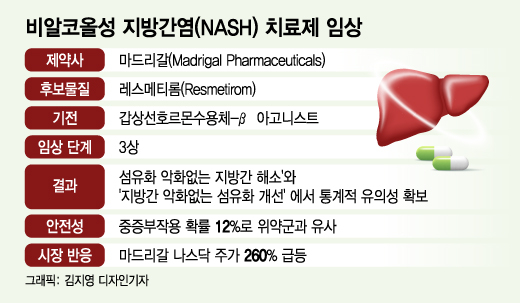 NASH 신약 기대감에 美상장사 260%↑…국내외 업체 '이곳' 주목