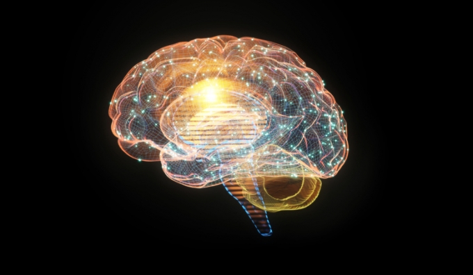한국원자력의학원 연구팀이 유아나 아동기 스트레스가 극심할 경우 뇌 속 신경전달물질이 손상될 수 있다는 연구 결과를 내놨다. / 사진=게티이미지뱅크
