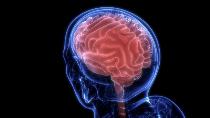 새로운 뇌 분할 분석법 나와…뇌 손상 환자의 신경 조절 치료 개선 기대