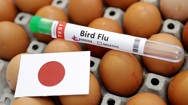 일본에서 5개월째 조류 인플루엔자(AI) 확산이 이어지면서 편의점·식당 등이 계란 관련 제품 판매를 잇따라 중단하고 있다. /ⓒ로이터=뉴스1