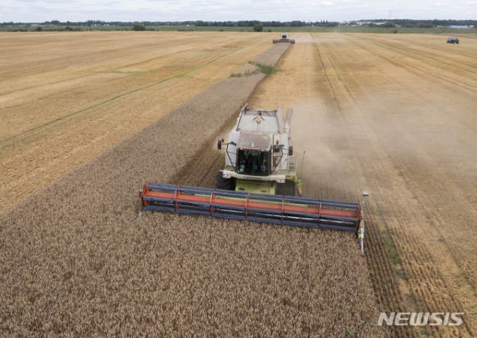 지난해 8월9일(현지시간) 우크라이나 즈흐리우카의 밀밭에서 농민들이 밀을 수확하고 있다.  /사진=AP/뉴시스