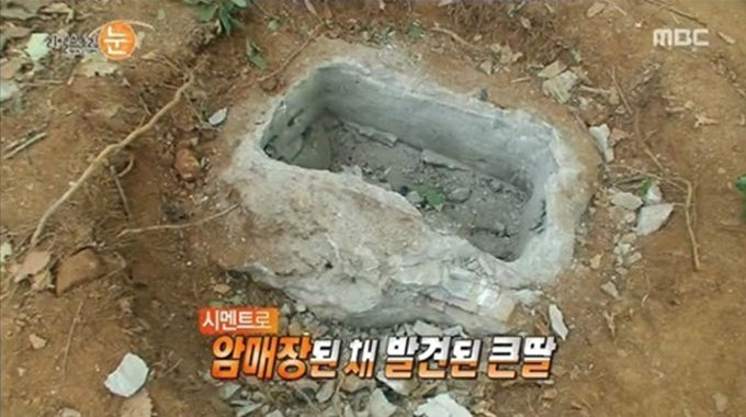 /사진=MBC '리얼 스토리 눈' 방송 화면