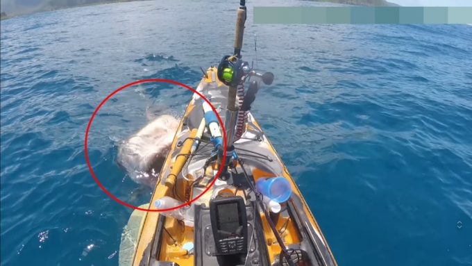 /사진=유튜브 채널 'Hawaii Nearshore Fishing' 