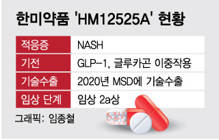 '빅파마'도 번번이 무릎꿇는 NASH…한미약품, 다음달 신약 가능성 확인