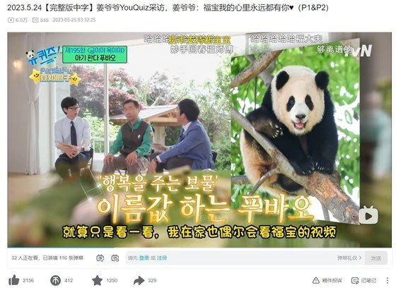 '푸바오 할아버지' 강철원 사육사의 푸바오 사랑이 중국 현지에도 감동을 주고 있다. 이에 현지 누리꾼들은 "푸바오가 한국에 계속 있으면 안 되냐"는 목소리도 나온다. /사진=뉴스1(빌리빌리)