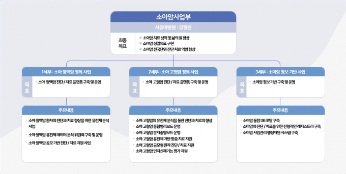 소아암·희귀질환지원사업단 소아암 사업부의 주요 사업 목록. /사진=서울대병원