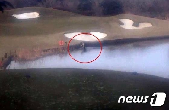 제주의 한 골프장 연못에서 가슴장화 등을 챙겨 입고 골프공을 건지고 있는 A씨 모습. /사진=뉴스1(서귀포경찰서 제공)