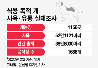 "개고기나 먹어" 이제 한국에 안 통하는 욕?…식용 금지 운명 갈린다