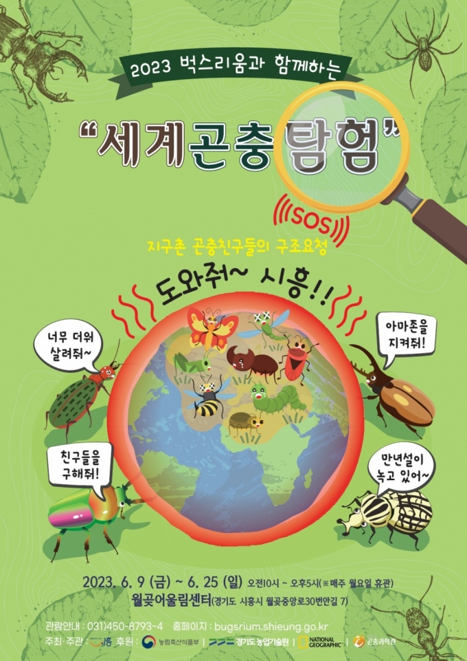 시흥 '세계곤충탐험' 9일 개최/사진제공=시흥시