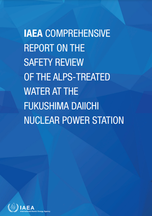 지난 4일 공개된 국제원자력기구(IAEA) 최종보고서. / 사진=국제원자력기구(IAEA)