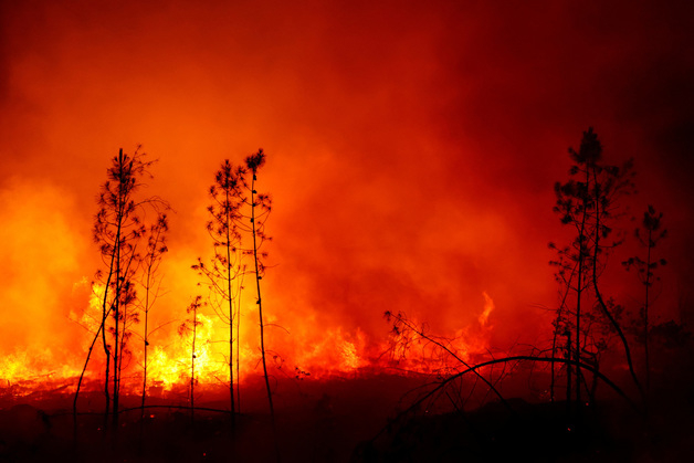지난해 여름 기록적인 폭염 속 프랑스 루차즈에서 산불이 숲을 불 태우고 있다. / 사진=뉴스1