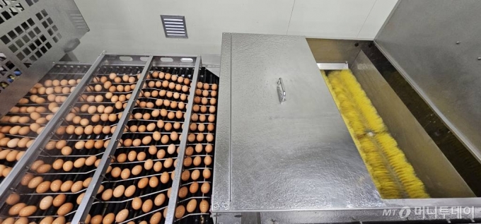 충남 당진시 면천면에 위치한 (주)한솔루트원은 건강하고, 안전한 계란을 생산하는 곳으로 잘 알려져 있다. 사진은 투입된 원료란이 세척단계로 넘어와 이물질이 제거되는 모습. /사진=정혁수
