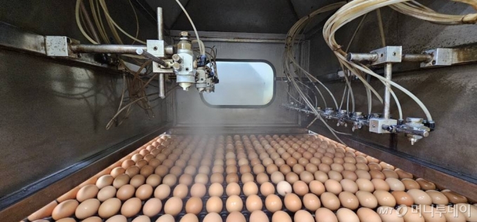 충남 당진시 면천면에 위치한 (주)한솔루트원에서는 계란의 안전성을 확보하기 위해 이물질을 씻어낸 뒤 폴리페놀 코팅 작업을 실시한다. /사진=정혁수