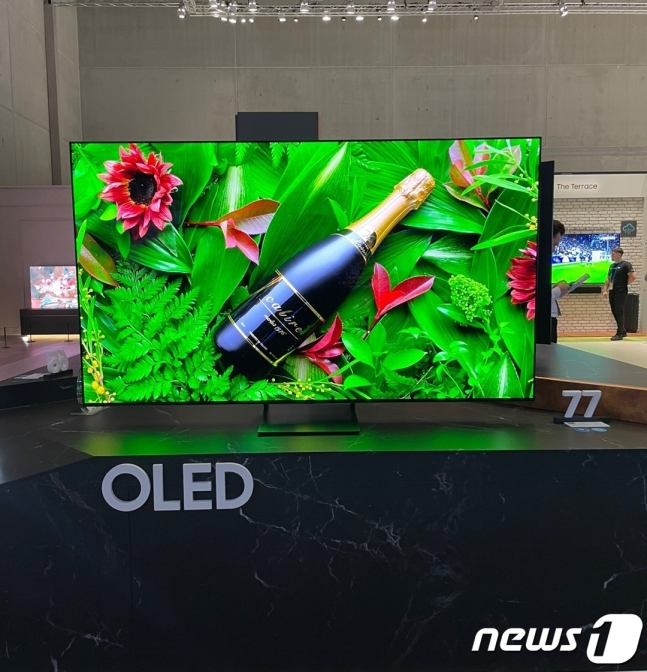 삼성전자 IFA 전시장에 전시된 77형 삼성전자 OLED TV(S95C)./사진=뉴스1
