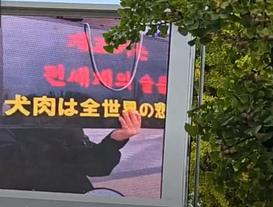 일본 동물보호 활동가가 개식용 금지법을 촉구하며 피켓 시위를 하는 영상./사진=동물권단체케어