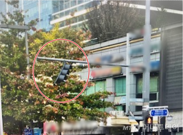 서울 금천구의 한 차량 신호등이 파손돼 덜렁덜렁 매달려있다. 기자가 이곳을 지나가던 20대 여성에게 해당 사진을 보여주자 화들짝 놀라며 "전혀 몰랐다. 알았으면 당연히 피해갔다"라고 말했다. /사진=독자제공