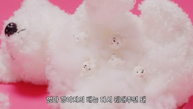 /사진=위액트 유튜브 영상 '사지않을개' 캠페인, '펫숍 강아지는 어디서 올까?' 화면 캡쳐