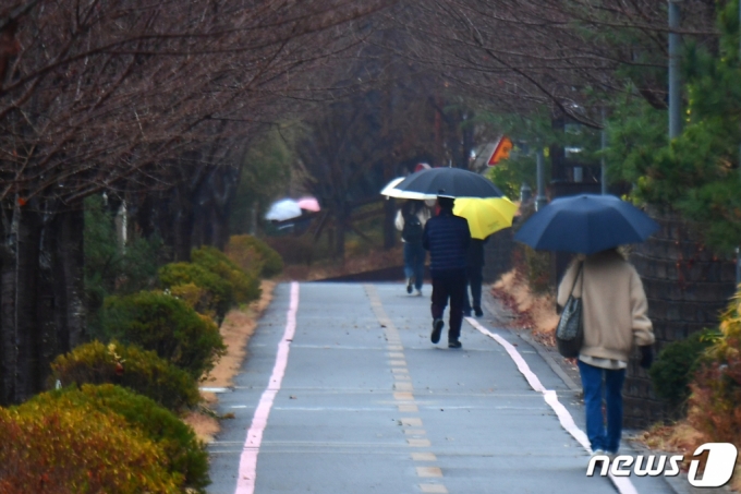 겨울비가 내리는 11일 오전 경북 포항시 남구 대잠동 철길 숲길을 따라 시민들이 걸어가고 있다./사진=뉴스1