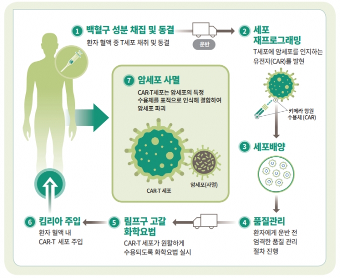 CAR-T 치료제 킴리아의 제조, 처방 과정/사진제공=한국노바티스