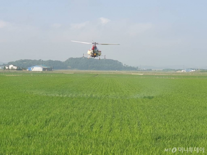 충남 홍성지역 한 농가에서 지난 해 9월 드론을 활용해 항공 방제를 실시하고 있다. /사진=농림축산식품부