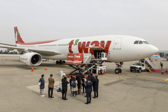 티웨이항공이 최장 1만km까지 운항할 수 있는 A330-300기를 도입했다. 347석 규모 A330-300은 중장거리 노선 운항에 적합한 기종이다./사진= 뉴스1