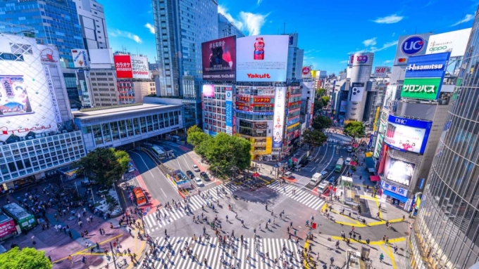 일본 도쿄 시부야의 '스크램블 교차로' /사진=도쿄관광재단