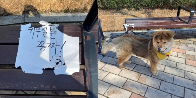 인천 한 공원벤치에 개가 유기됐다. /사진=SNS 갈무리