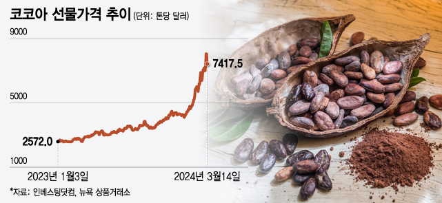 "단 게 당겨" 아무리 먹어도 비싼 가격에 씁쓸?…179% 뛴 코코아