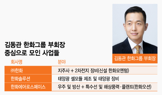 김동관 한화그룹 부회장 중심으로 모인 사업들/그래픽=조수아