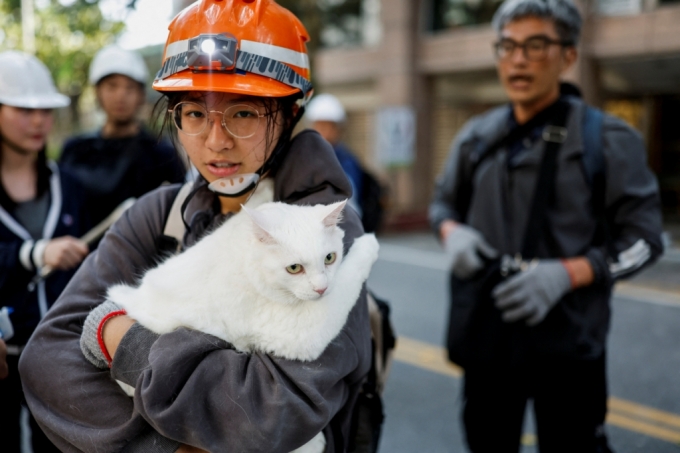 3일 발생한 강진으로 대만 동부 해안 화롄현 일대가 큰 피해를 입은 가운데 한 여성이 건물 안에 갇혀 있던 고양이를 구출해 대피하고 있다. /로이터=뉴스1