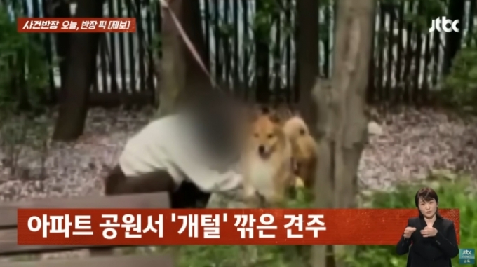 아파트단지 내 공원에서 한 여성이 반려견 미용을 하는 영상이 공개돼 논란이다. /사진=JTBC '사건반장'
