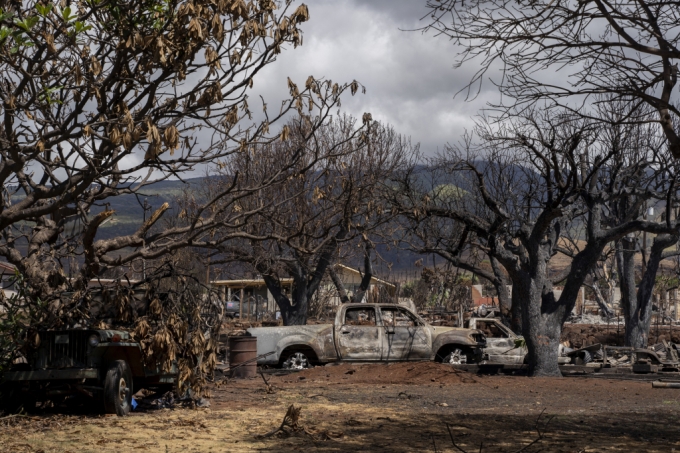 지난해 9월 25일(현지시각) 미 하와이주 라하이나의 말로 거리에 마우이 산불로 불에 탄 나무와 가옥들, 그을린 차량이 그대로 남아 있다. 마우이 카운티는 화재 피해지역인 라하이나의 일부 구역을 주민들에게 개방했다. 마우이섬에서 발생한 산불이 강풍을 타고 순식간에 번져 라하이나 마을 주민 약 100명이 숨져 하와이 역사상 최악의 인명 피해를 냈다. /AP=뉴시스