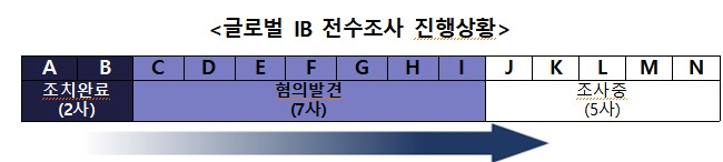 글로벌 IB 전수조사 진행상황 /사진=금융감독원