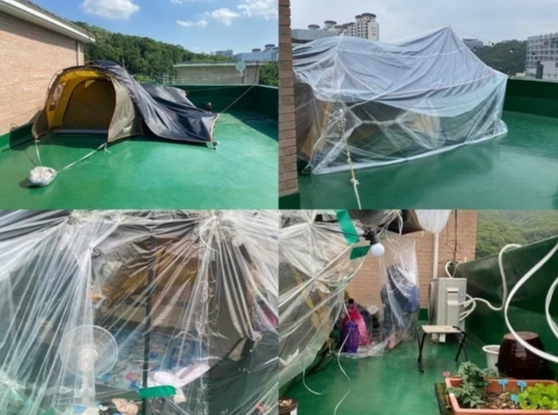 한 빌라 옥상에 설치돼 있는 텐트. /사진=온라인 커뮤니티