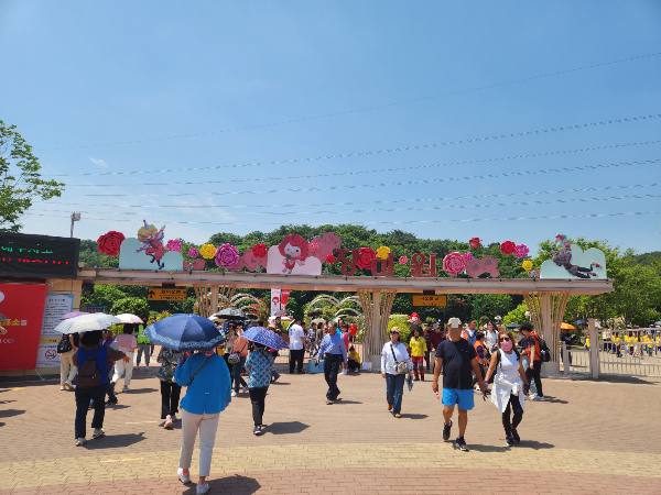 23일 오전 장미축제가 열리는 울산대공원 장미원 /사진=박미리 기자