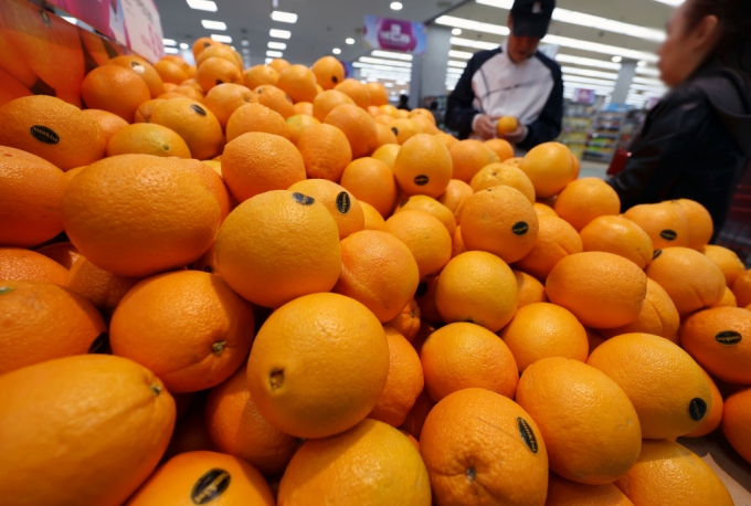 서울 시내 한 대형마트에서 시민들이 오렌지를 구입하고 있다. /사진=뉴시스